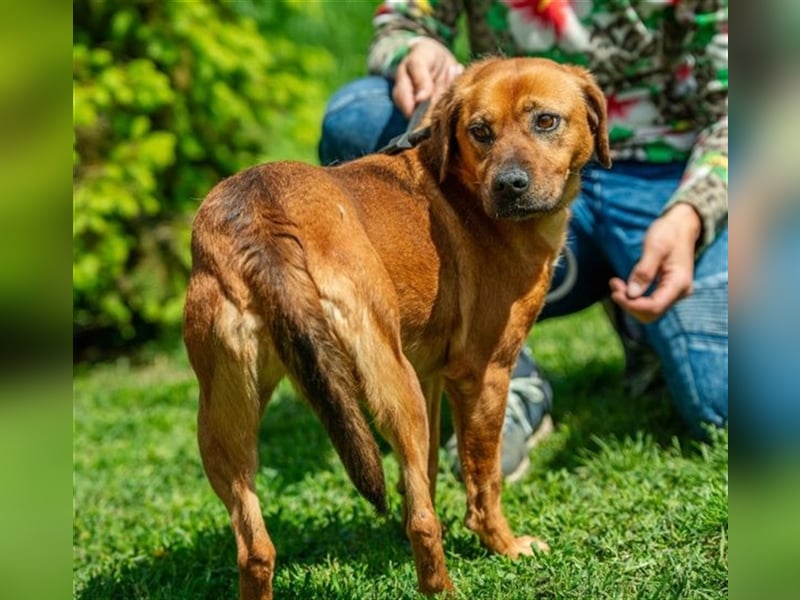 Rebi von kettenlos