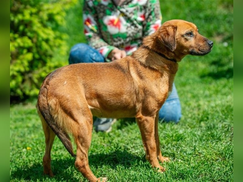 Rebi von kettenlos