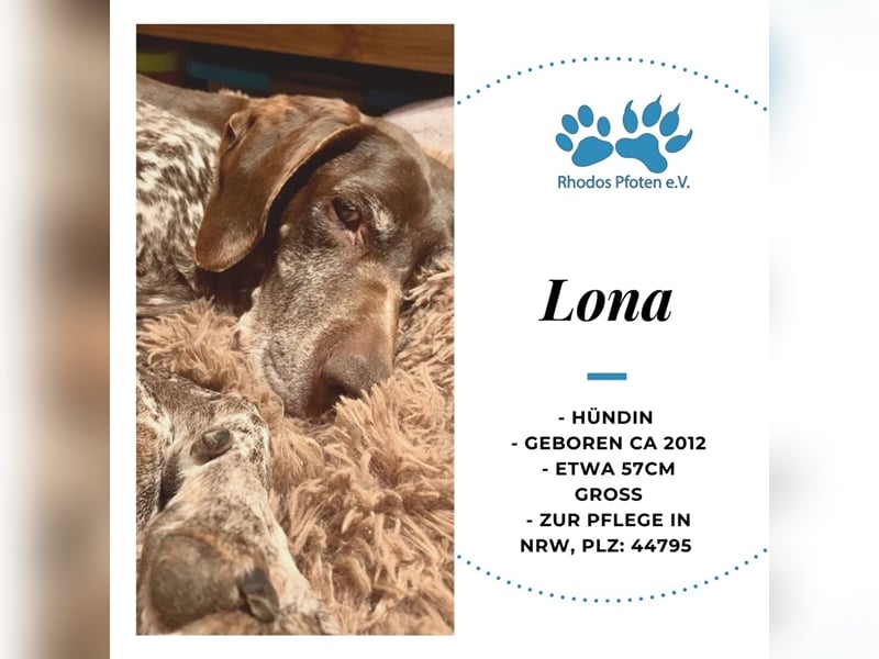 Lona sucht ihr zu Hause! ❤️