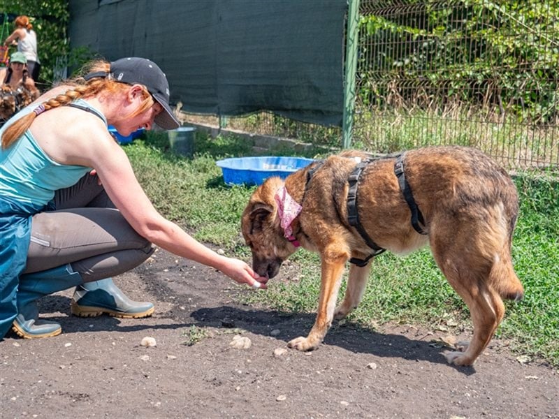 TITANIA-Samtene Riesin sucht passendes Körbchen zum einkuscheln
