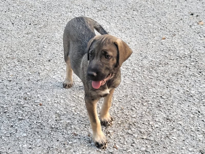 Jenna – kleine Kämpferin mit großem Herz