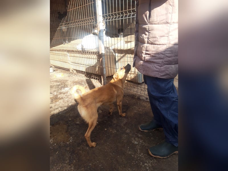Estelle sucht ein Zuhause