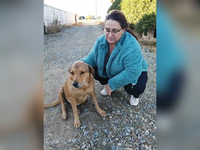 LILLI sucht ein liebes Zuhause