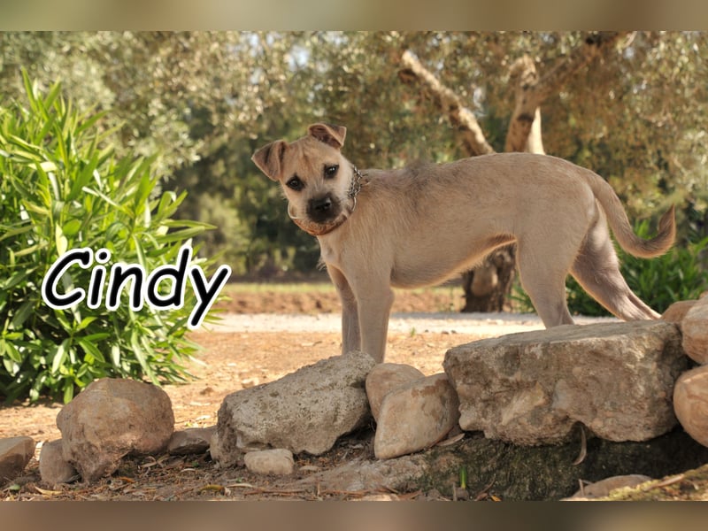 Lösen Sie mit Cindy das Rätsel des Lebens?