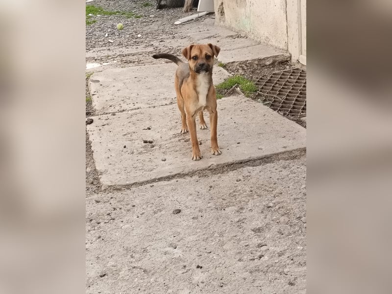 Peggy, Mini sucht ihre Familie