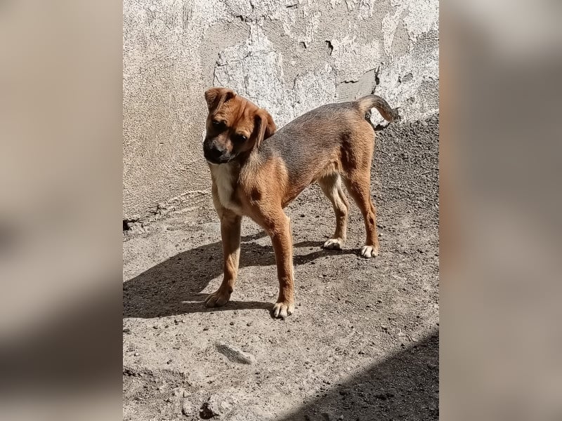 Peggy, Mini sucht ihre Familie