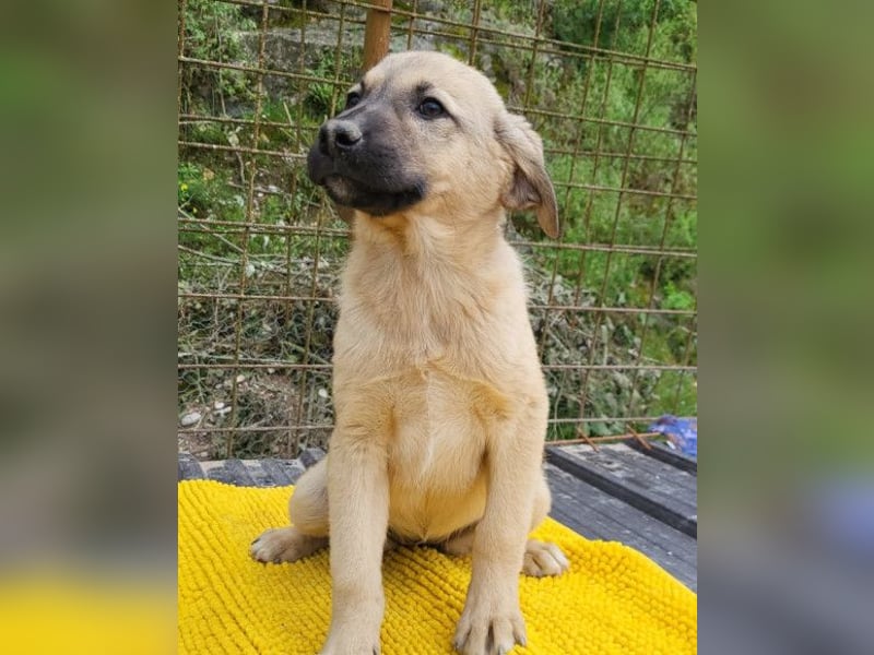 Aktive Amy ❤️ sucht Liebe+Geborgenheit