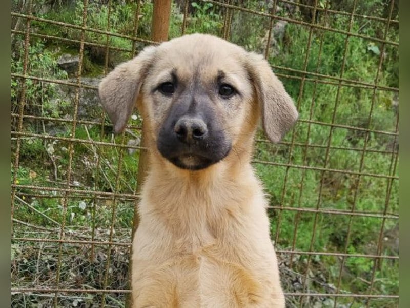 Aktive Amy ❤️ sucht Liebe+Geborgenheit