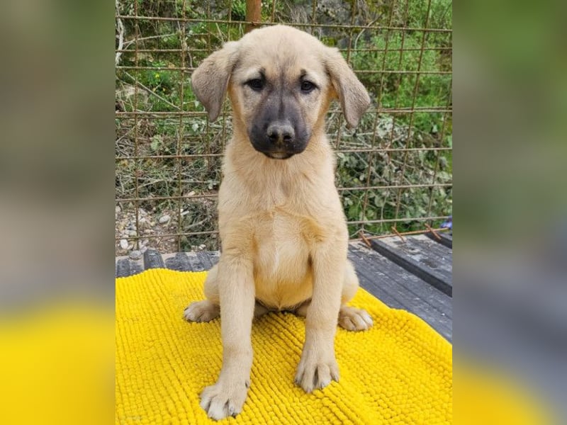 Aktive Amy ❤️ sucht Liebe+Geborgenheit