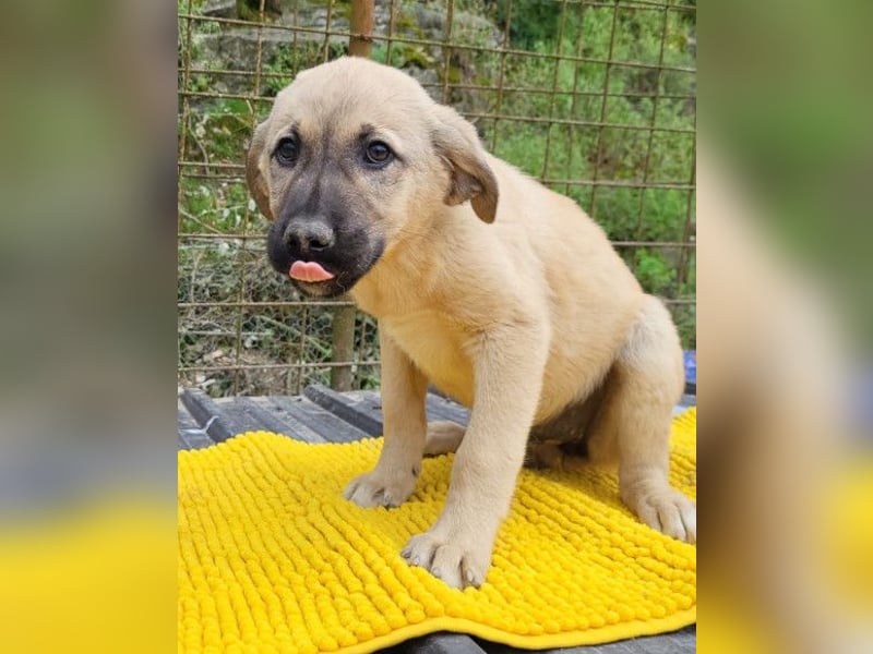 Aktive Amy ❤️ sucht Liebe+Geborgenheit