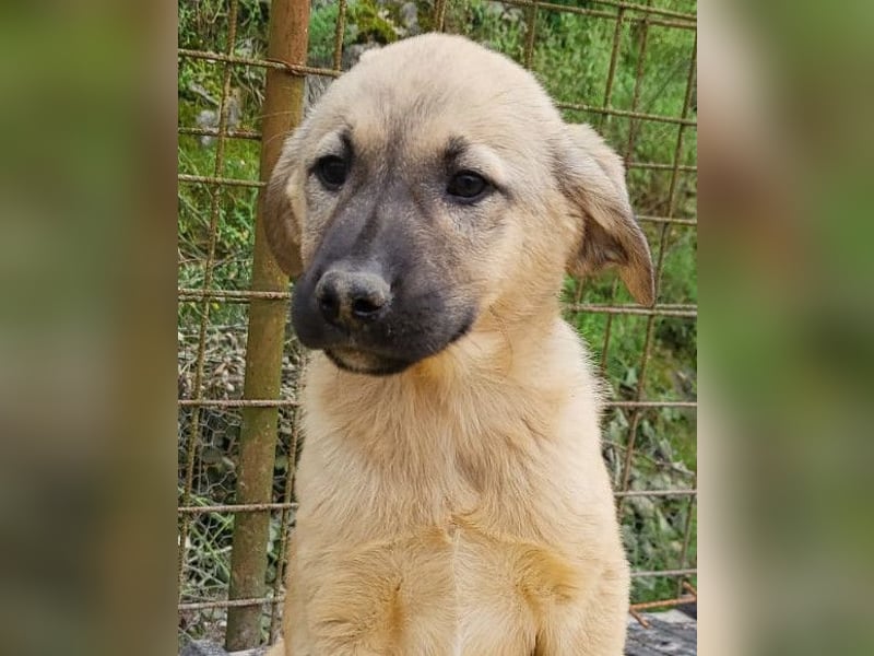Aktive Amy ❤️ sucht Liebe+Geborgenheit