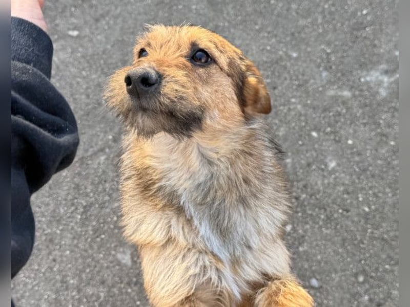 Peaches ❤️ super lieb, süß & verspielt!