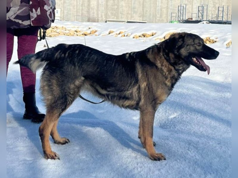 Saga ❤️ super lieb & menschenbezogen!