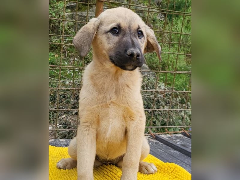 Aktive Amy ❤️ sucht Liebe+Geborgenheit