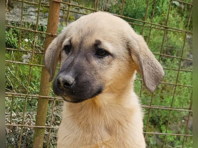 Aktive Amy ❤️ sucht Liebe+Geborgenheit