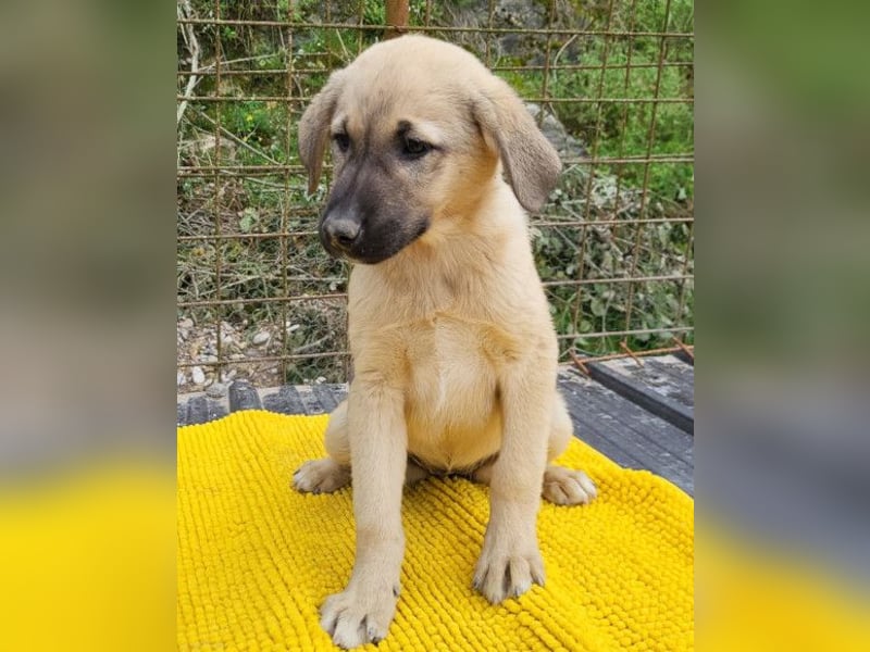 Aktive Amy ❤️ sucht Liebe+Geborgenheit