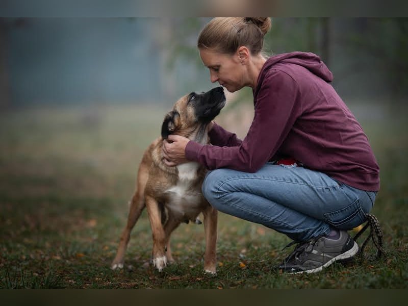 Cari: sucht ein liebevolles Zuhause