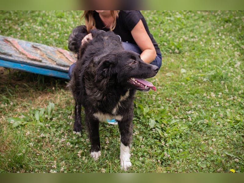 Frieda: Eine liebevolle Frohnatur