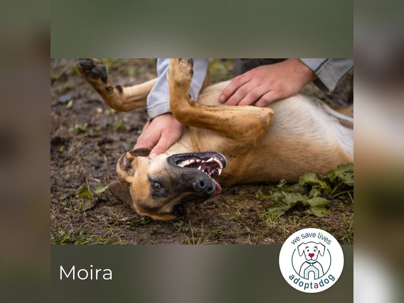 Moira: Fröhlicher Wirbelwind