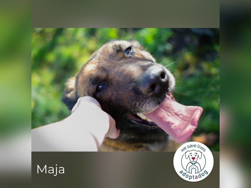 Maja: genießt ihre neue Freiheit