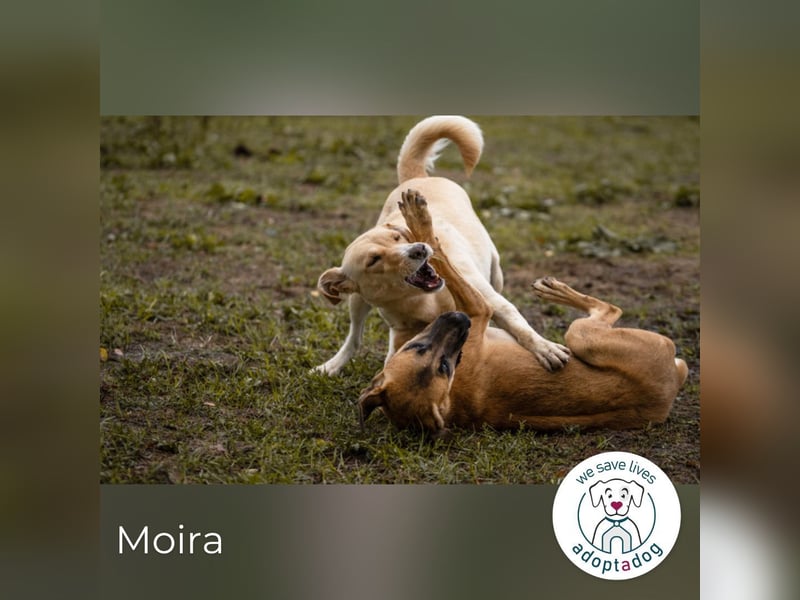 Moira: Fröhlicher Wirbelwind