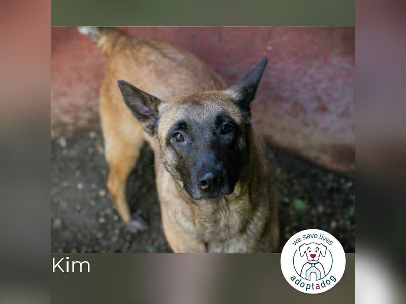 Kim: Menschen mit Geduld, Zeit und Liebe gesucht
