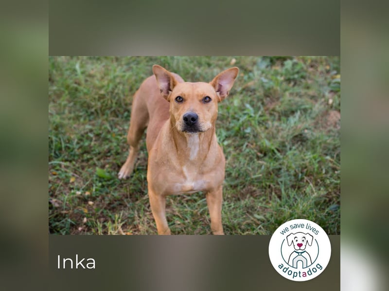 Inka – Ihre Augen leuchten wie ihr Name