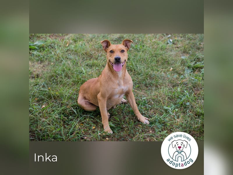 Inka – Ihre Augen leuchten wie ihr Name