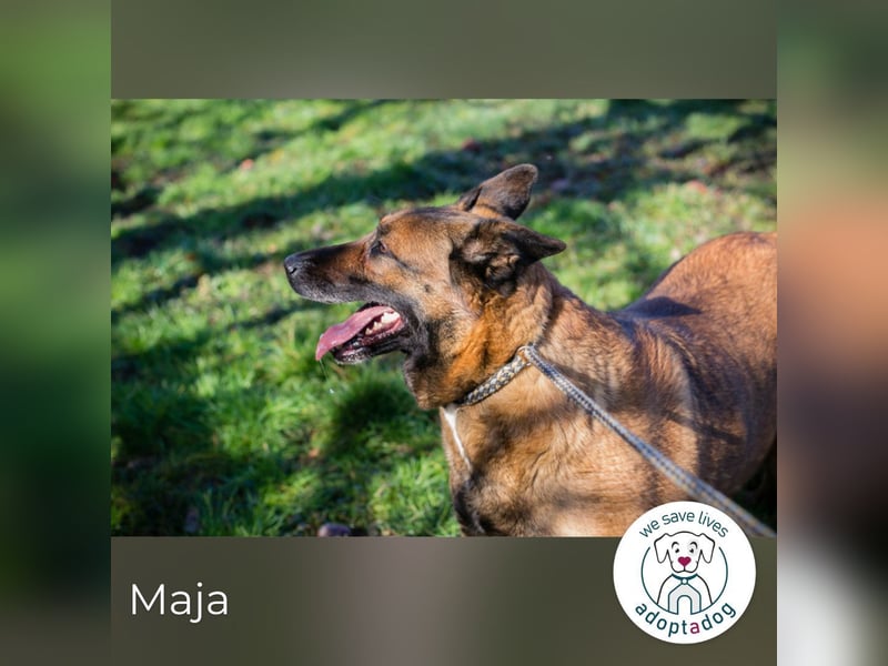 Maja: genießt ihre neue Freiheit