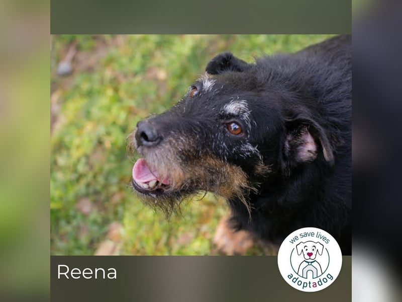 Reena: Neustart! Los geht’s!