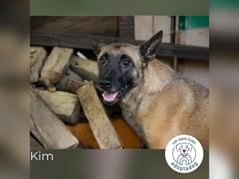 Kim: Menschen mit Geduld, Zeit und Liebe gesucht