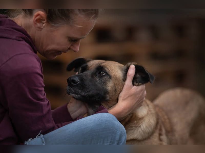 Cari: sucht ein liebevolles Zuhause