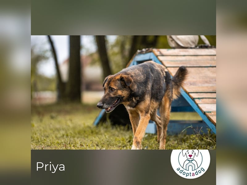 Priya: Schenke mir Liebe!