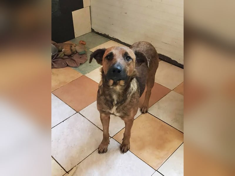 Gabi: Hat ihren Lebensmut wiedergefunden