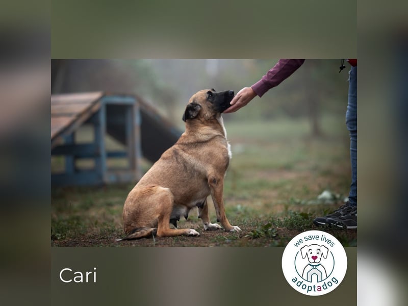 Cari: sucht ein liebevolles Zuhause