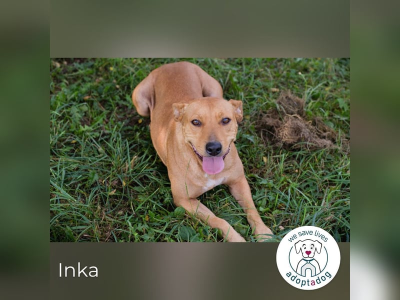 Inka – Ihre Augen leuchten wie ihr Name