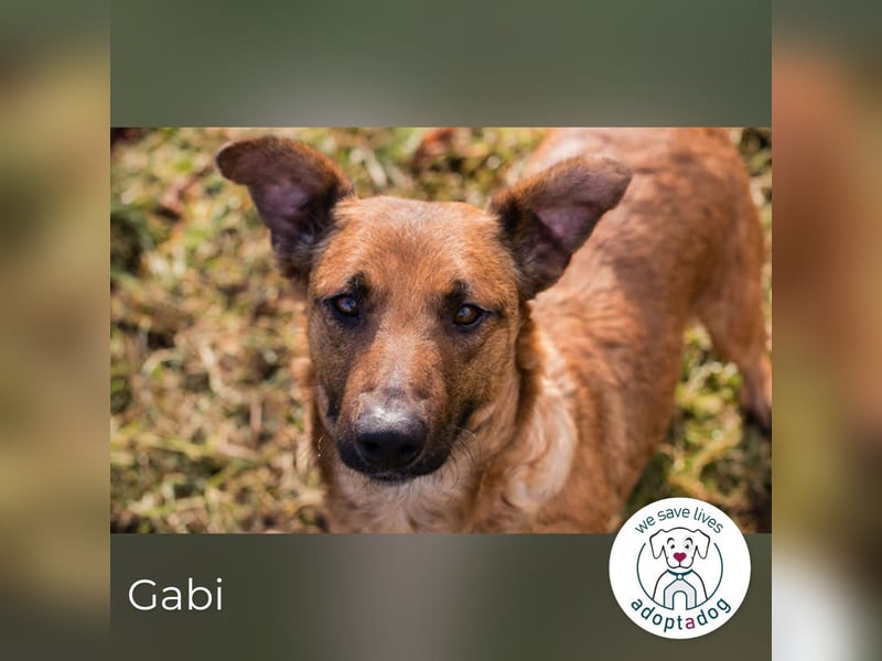 Gabi: Hat ihren Lebensmut wiedergefunden