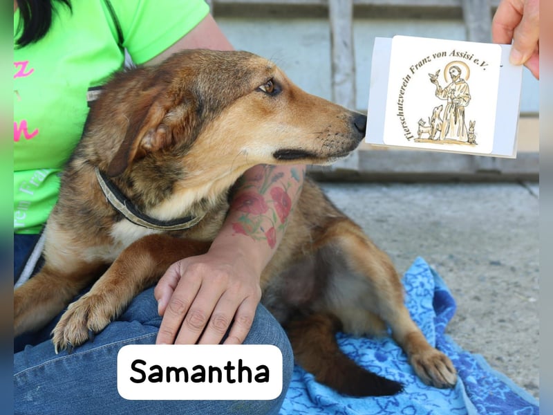 Samantha – kleine Entdeckerin mit leiser Stärke