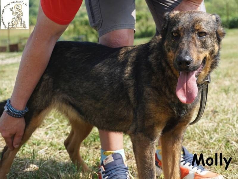 Molly – Ein bisschen Ruhe und viel Liebe!