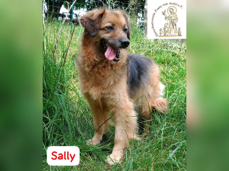 Sally - die scheue Schönheit