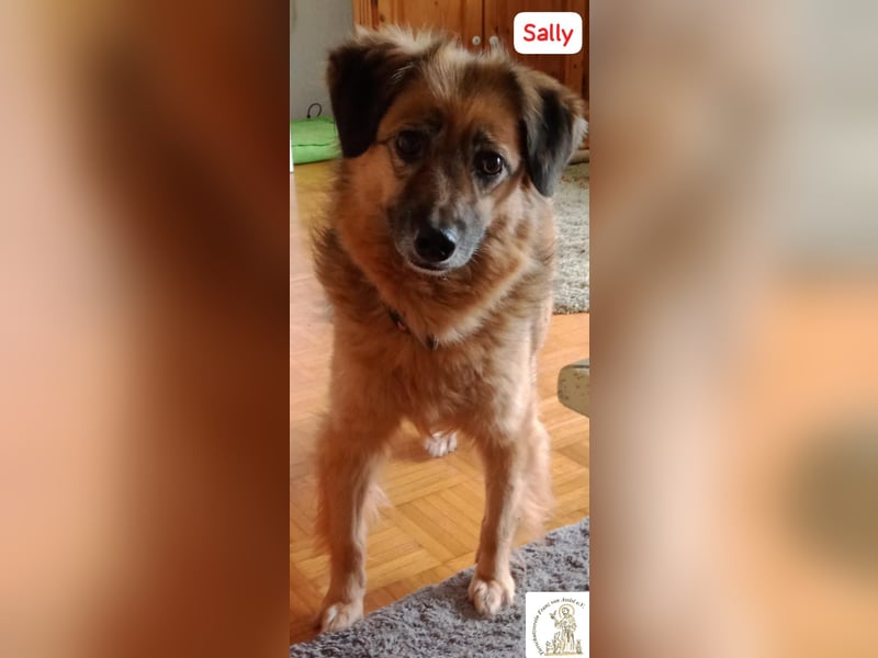 Sally - die scheue Schönheit
