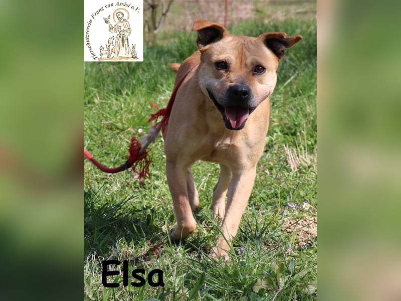 Elsa – die Prinzessin
