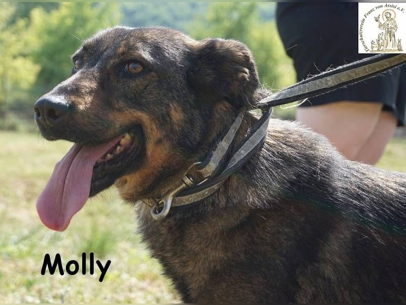 Molly – Ein bisschen Ruhe und viel Liebe!