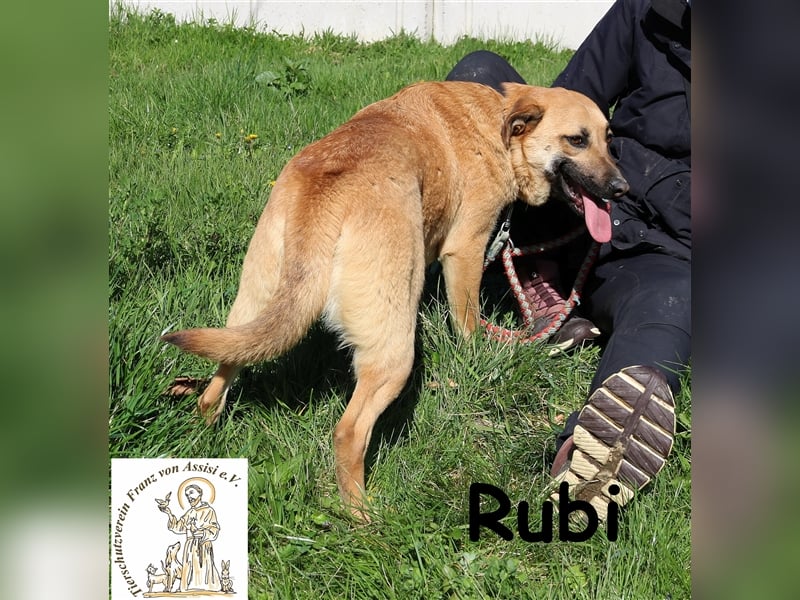 Rubi - wer zeigt ihr die Welt?