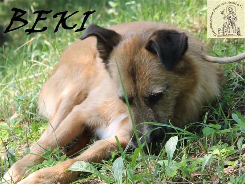 Sanfte liebe Beki