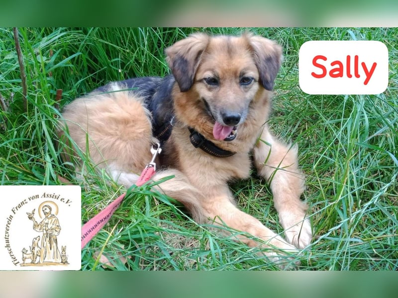 Sally - die scheue Schönheit