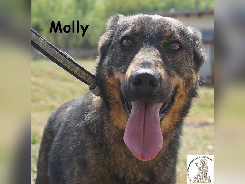 Molly – Ein bisschen Ruhe und viel Liebe!