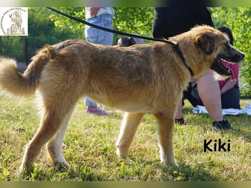Kiki – Kuschelfee im Anflug!