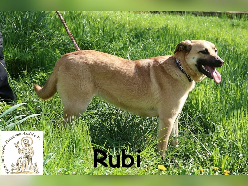 Rubi - wer zeigt ihr die Welt?