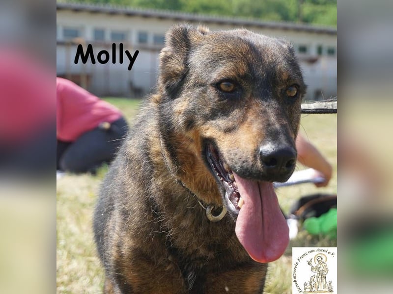 Molly – Ein bisschen Ruhe und viel Liebe!